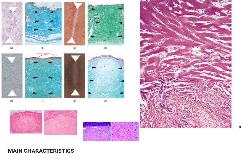 Block-Brands-Noeeko-11-785